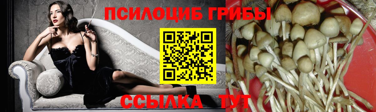 Дедовск  Галлюциногенные грибы Psilocybine cubensis  Вход с VPN  Псилоцибиновые грибы мухоморы 
