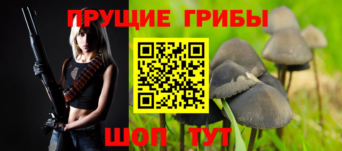 Псилоцибиновые грибы прущие грибы Дедовск